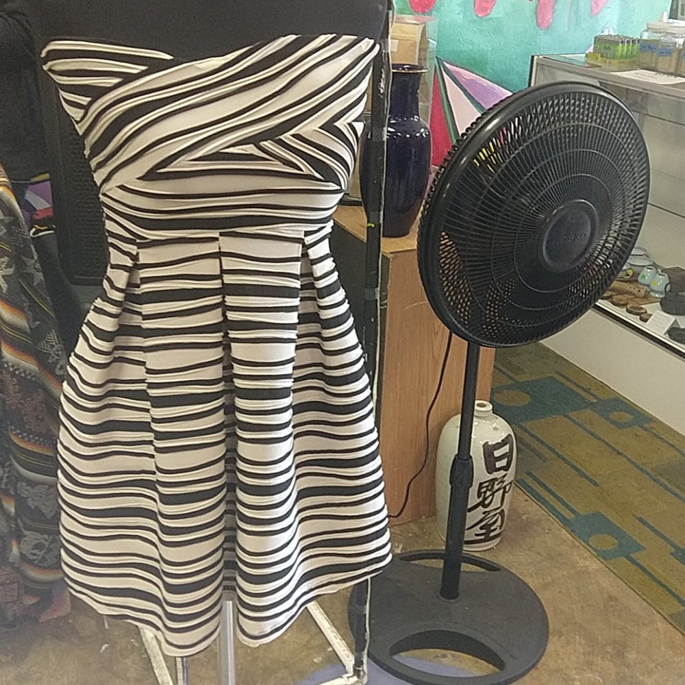 Papaya size 2 stripy dress